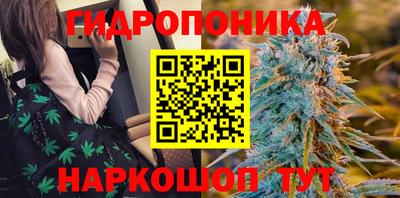 крисы Конаково