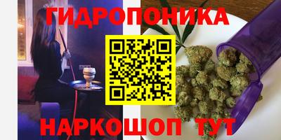крисы Конаково