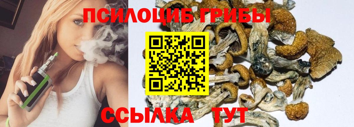 сколько стоит  Псилоцибиновые грибы Cubensis  Вход с VPN  Холмск 