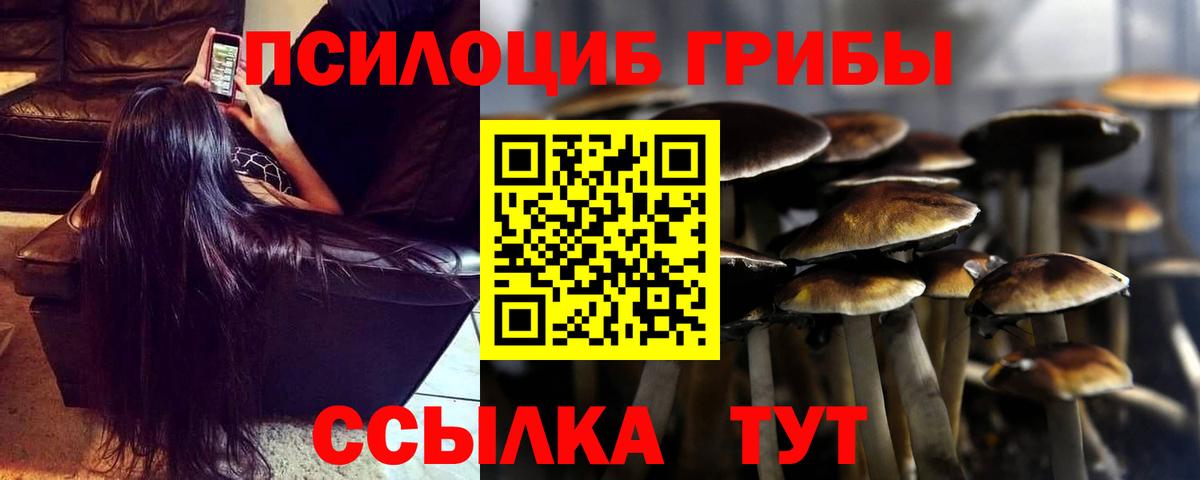 Галлюциногенные грибы прущие грибы Холмск